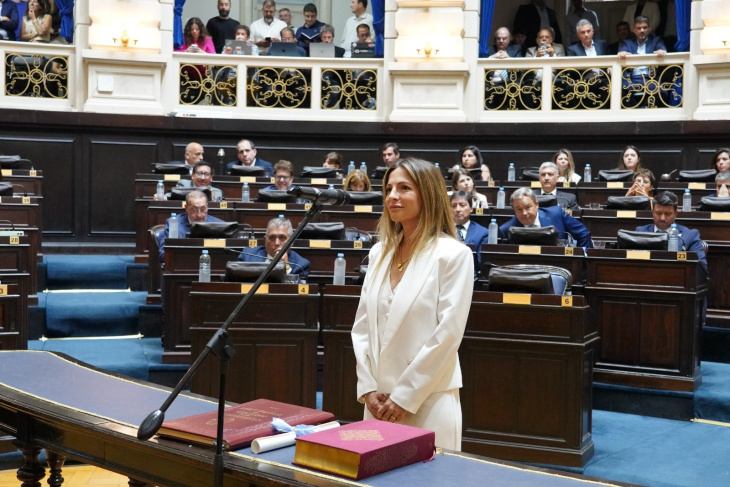 Diputada Carla Panelli jurando