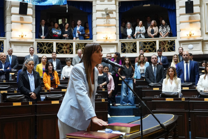 Diputada Lucía Iañez jurando
