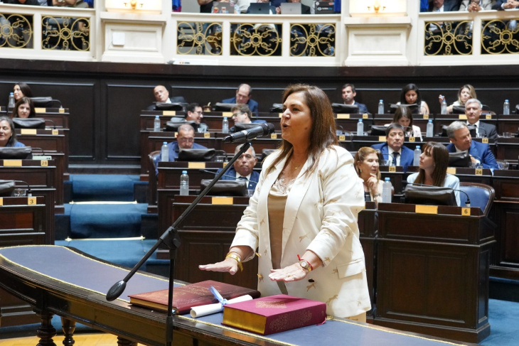 Diputada Mariela Vitale jurando