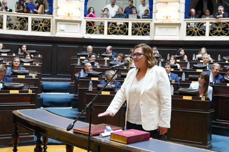 Diputada Priscila Minnard jurando