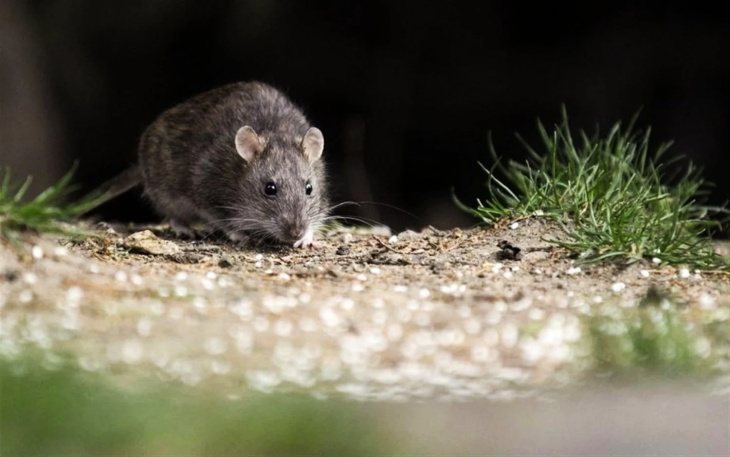 Vista aérea de San Andrés de Giles