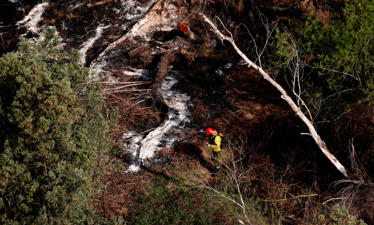 Brigadistas trabajando en el Delta del Paraná